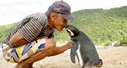 Pingvinu je spasio život, a on mu se u znak zahvalnosti vraća svake godine