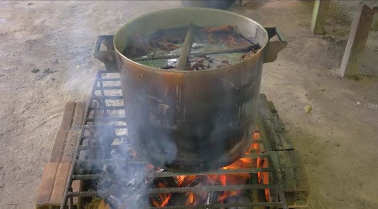 Turist u amazonskoj prašumi popio ayahuascu i umro