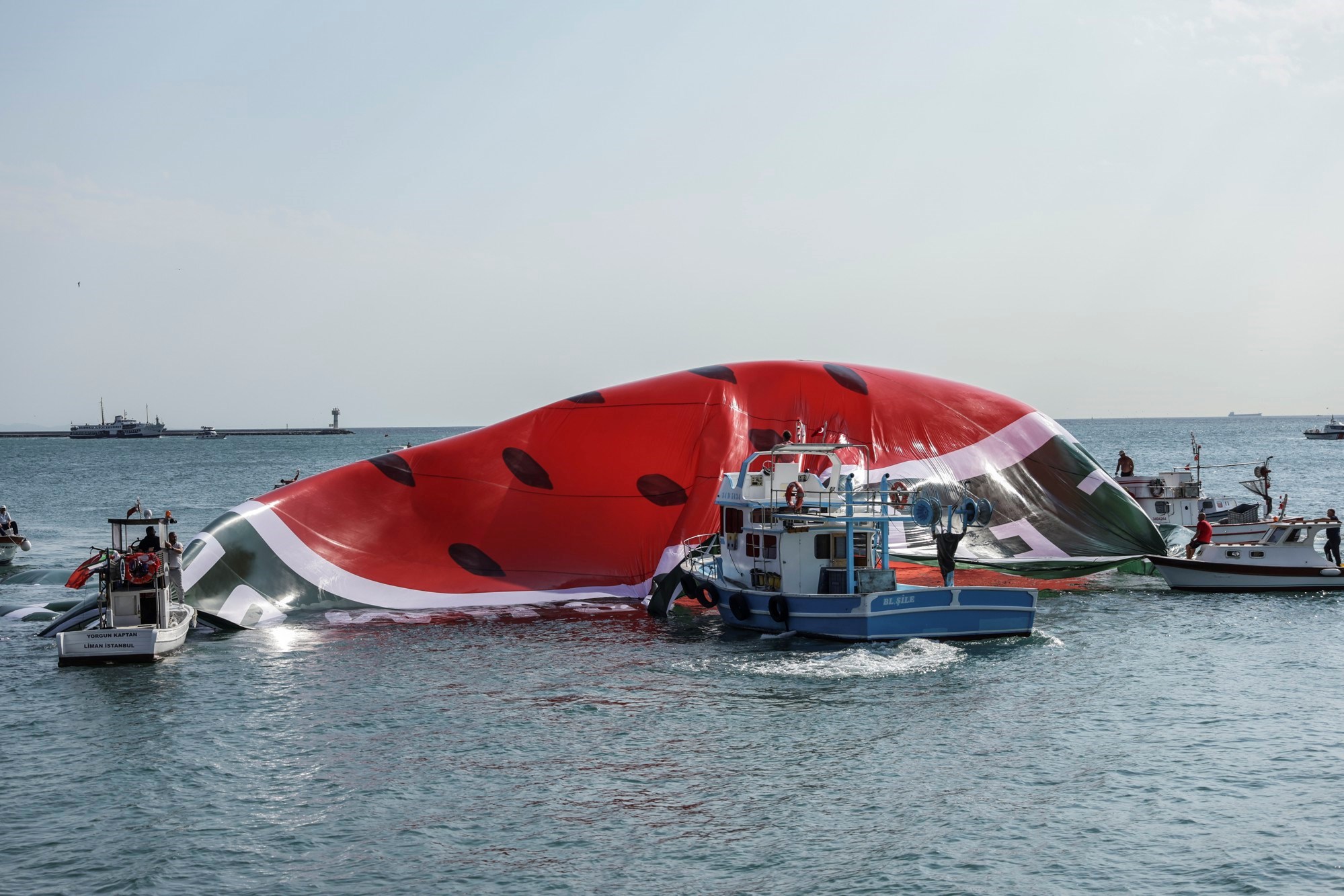 Kako je lubenica postala simbol Palestine?