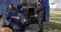 Psi izgrizli dječaka (4) u Srbiji, umro je