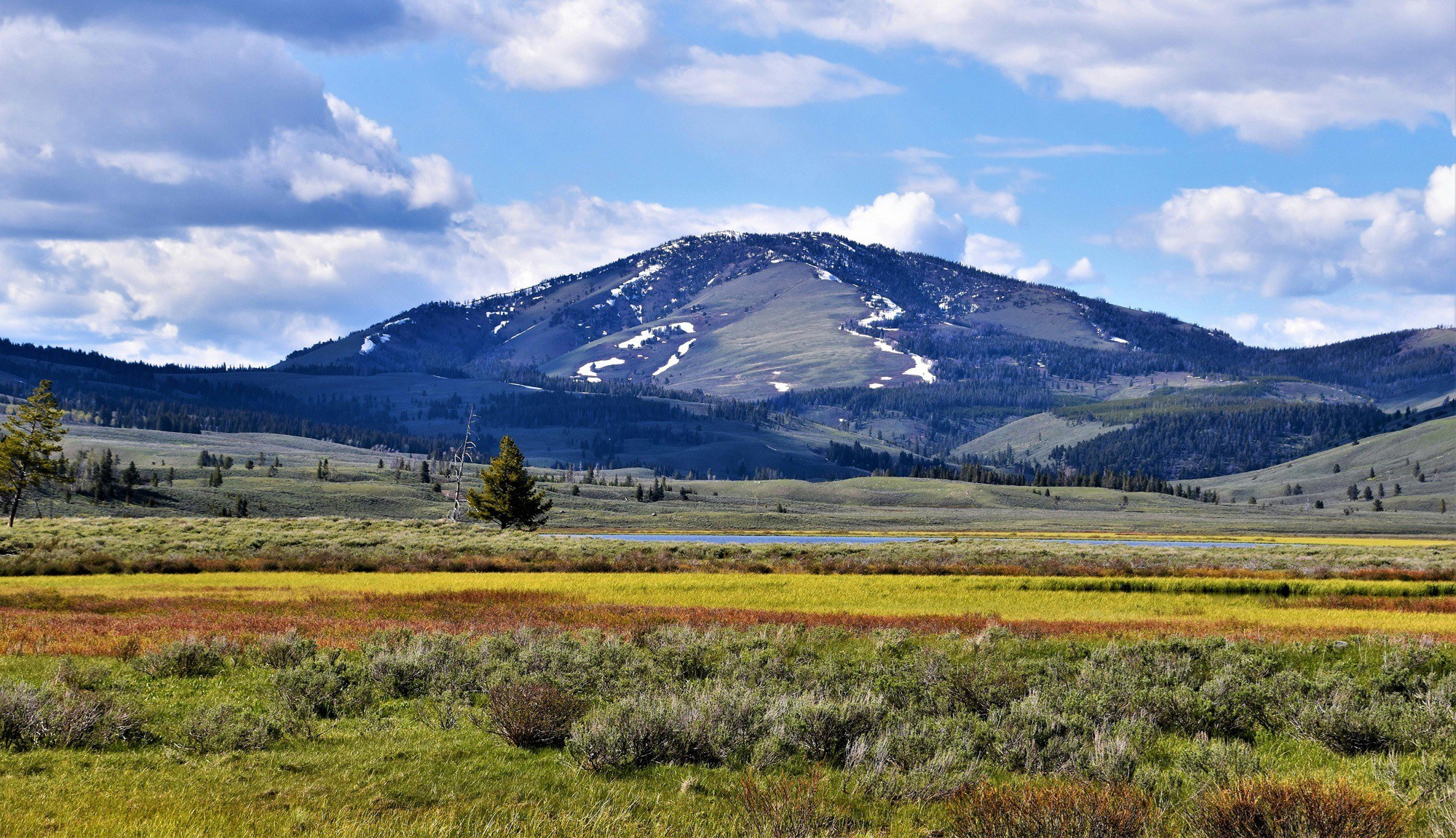 Američka zabit koju je popularizirao nacionalni park i odlična serija