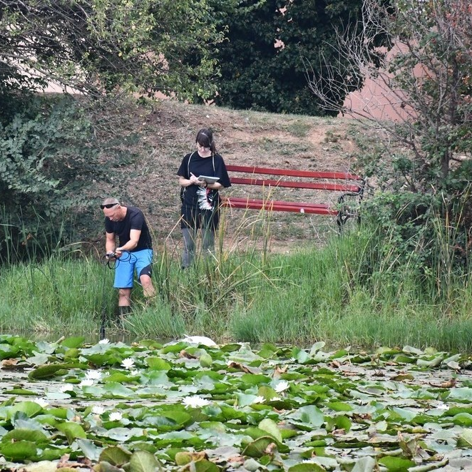 Pomor ribe u Medulinskoj lokvi
