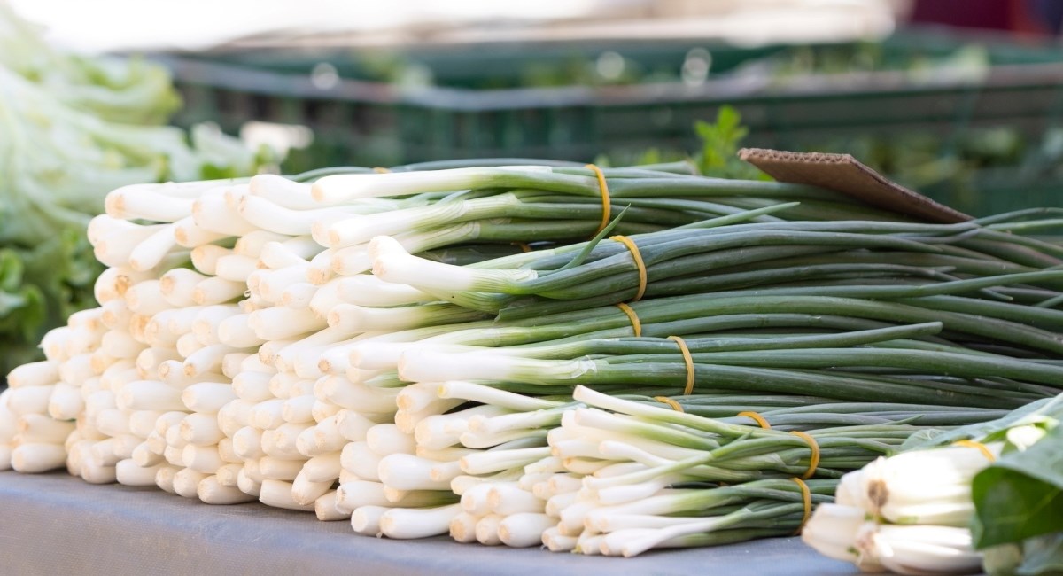 Ako vam je ostalo mladog luka od Uskrsa, iskoristite ga za ova predobra jela