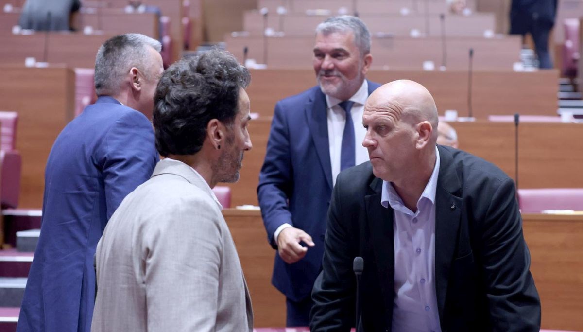 Miletić: Ne smijemo dati centa agresoru. SDSS-ovka: Žrtva je žrtva, a patnja patnja