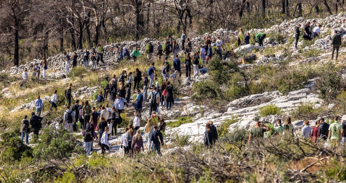 U Šibeniku održana najveća europska volonterska akcija pošumljavanja požarišta