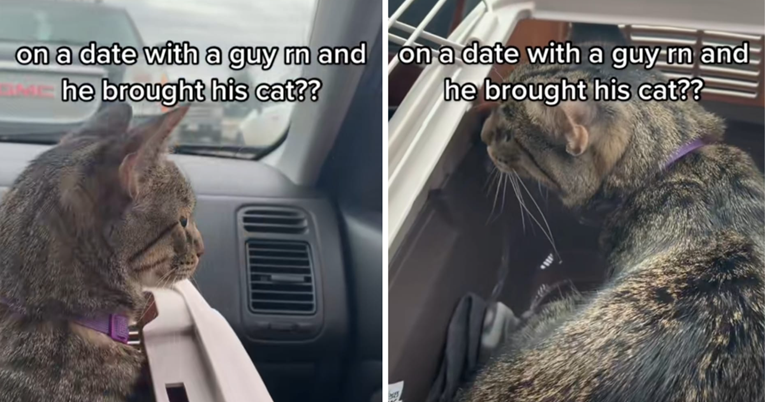 Tip na prvi spoj poveo svoju mačku. Internet je oduševljen: "Udaj se za njega"