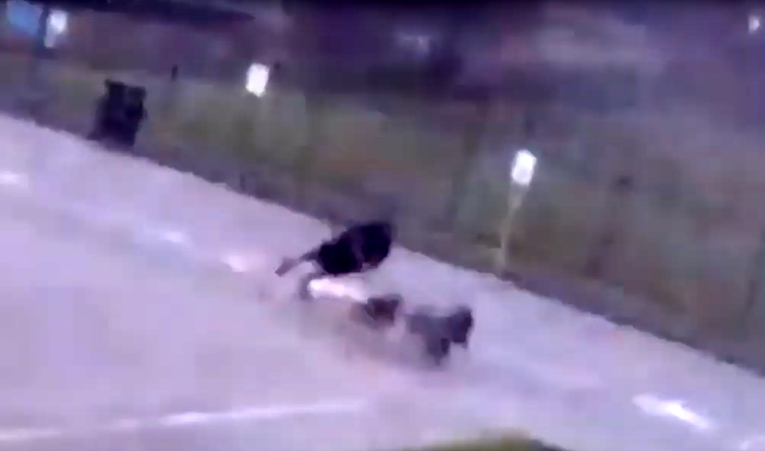 VIDEO Amerikanac šetao pse kad ga je pogodio grom, sve snimile nadzorne kamere