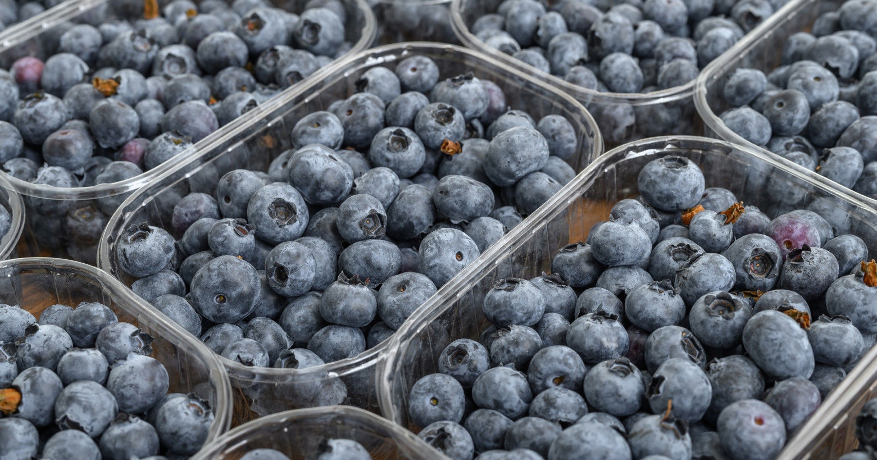 Ako primijetite jednu stvar na pakiranju borovnica, nemojte ga kupiti