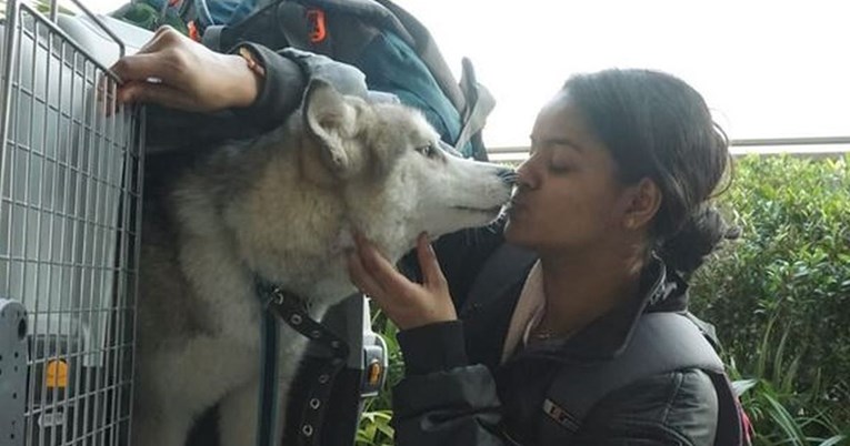 Studentica odbila napustiti Ukrajinu bez svog psa: Bilo bi sebično ostaviti ga