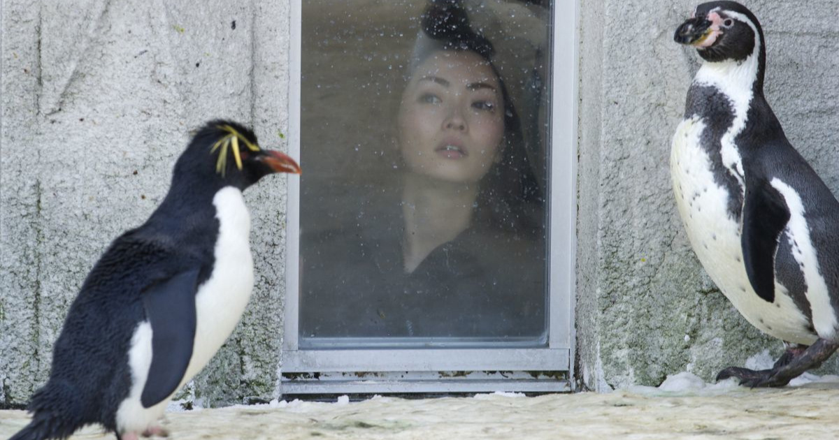 Zaposlenik zoološkog vrta u Japanu bacio tijelo supruge u spalionicu za životinje