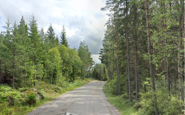 Kod granice Norveške i Švedske pucao na lovce, ubio oca i sina