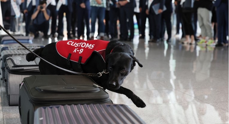 Južna Koreja zbog straha od stjenica s OI-ja na aerodrom dovela psa tragača