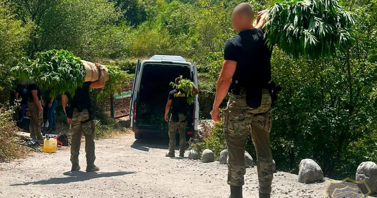 FOTO Policija kod Mostara otkrila 12 plantaža marihuane