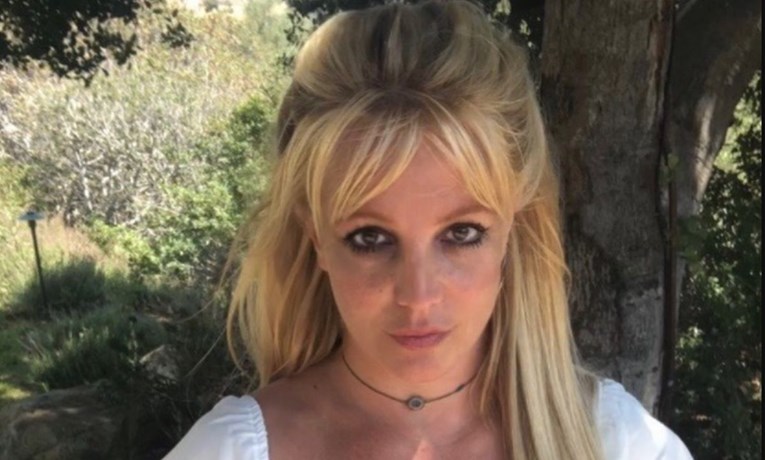 Procurilo što je Britneyjin odvjetnik rekao na sudu, usporedio ju je s osobom u komi