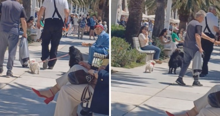 Urnebesan prizor u Splitu: Pas na povodcu vodi drugog psa u šetnju