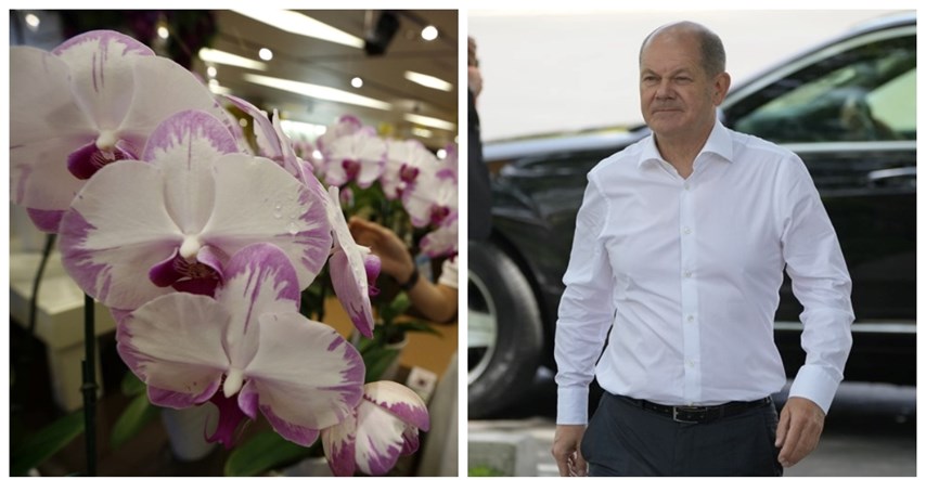 Singapur nazvao orhideju po njemačkom kancelaru Scholzu