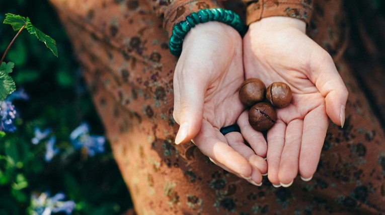 Ovo su dobrobiti svakodnevnog konzumiranja najskupljih orašastih plodova na svijetu