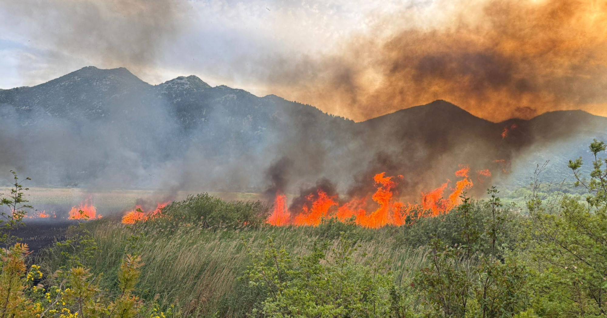 Buknuo požar u zaštićenom rezervatu u dolini Neretve