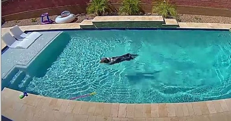 Kamera snimila što pas radi kad je sam kod kuće, ljudi se šale: Uživa u životu