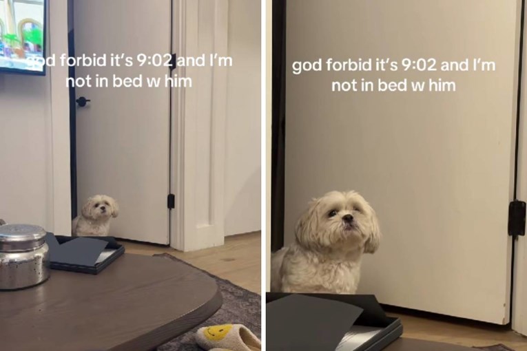 Rocky se naljutio na vlasnicu jer je dvije minute kasnila u krevet, video je hit