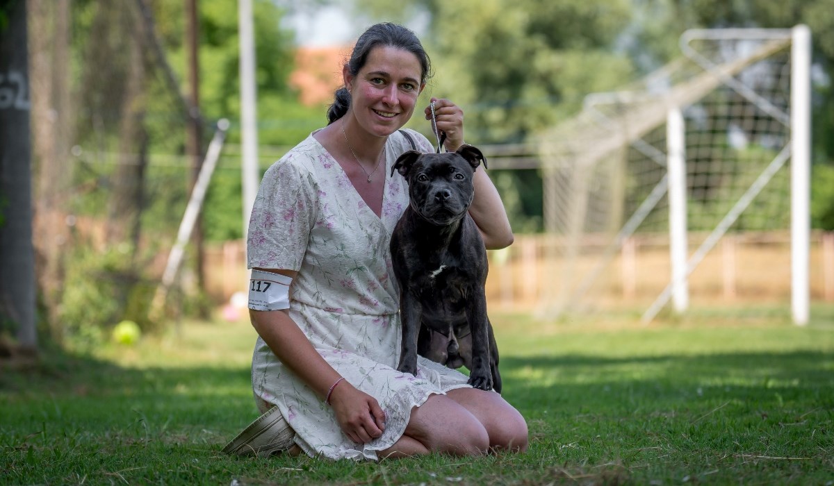 Upoznajte Bronhija, psa koji je pokupio va&#x17E;ne titule na presti&#x17E;noj izlo&#x17E;bi pasa