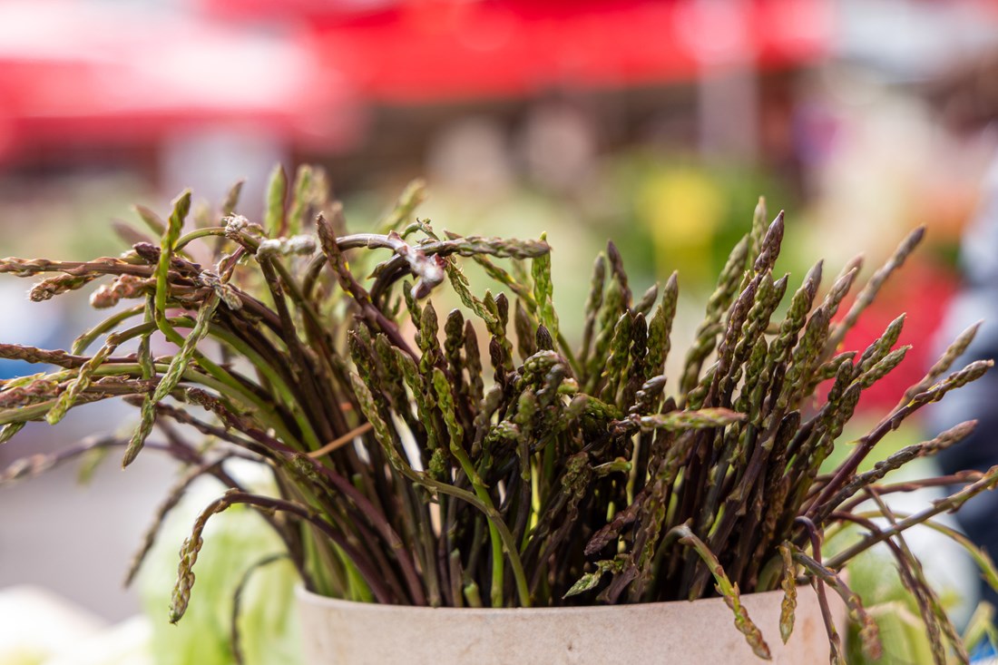 Zašto su šparoge tako skupe? Nije stvar samo u sezoni, nego u svemu iza njih