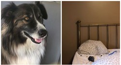 Pas probudio vlasnicu nekoliko sekundi prije nego što je meteor pao na njen krevet