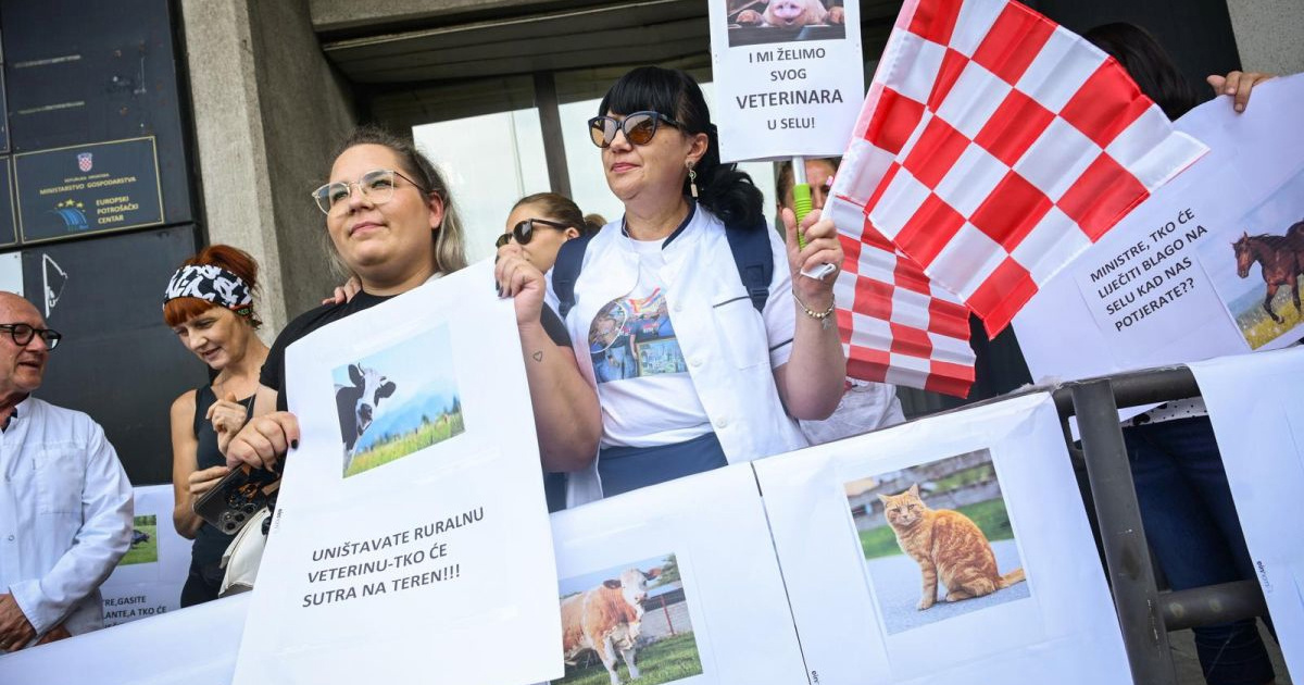 Udruga: Više gradova i općina moglo bi ostati bez lokalnog veterinara