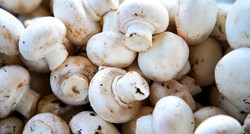 Jedanaest zanimljivih činjenica o gljivama koje možda niste znali
