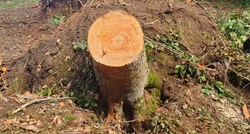 Nova smrt tijekom sanacije štete od nevremena, čovjek poginuo dok je uklanjao drvo