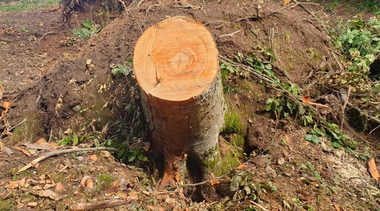 Nova smrt tijekom sanacije štete od nevremena, čovjeka na mjestu ubilo drvo