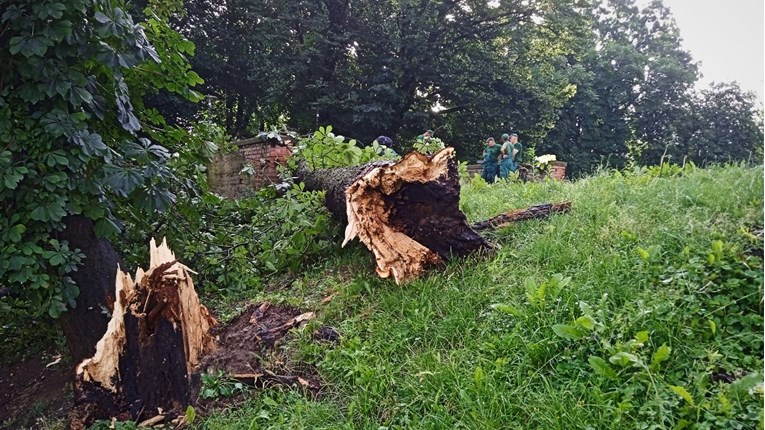 Nevrijeme noćas poharalo Međimurje, oluja čupala stabla, tisuće ostale bez struje