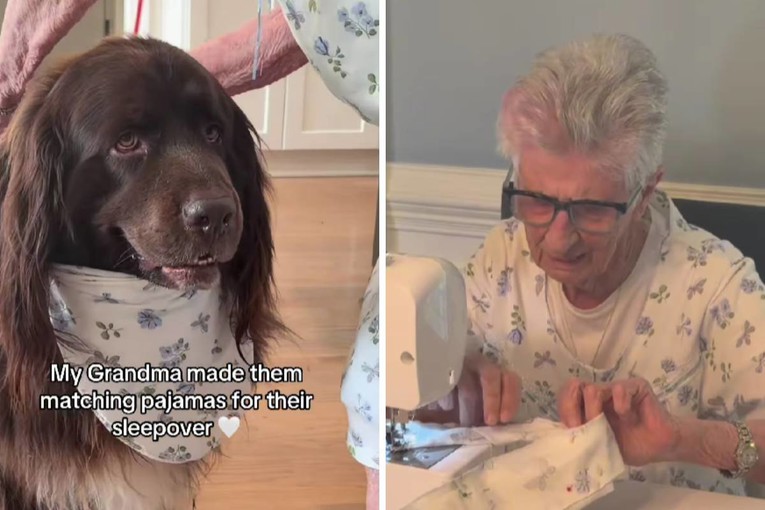 Baka i pas u istim kombinacijama za spavanje oduševili internet 🥰