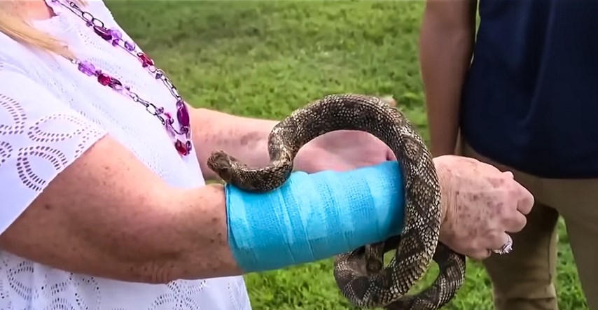 VIDEO Jastreb ispustio zmiju na ženu pa je napali oboje