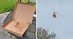 VIDEO Tip kaže da mu je galeb ukrao pizzu i odletio, snimka ima 15 milijuna pregleda