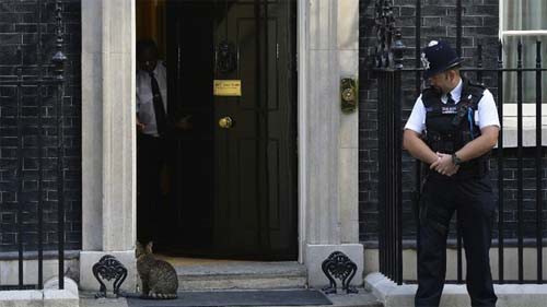Johnson nastavlja s imenovanjima: u Downing Street možda useli pas
