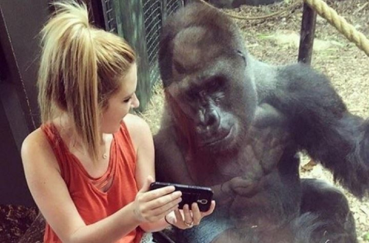 27 savršeno tempiranih fotografija koje su nastale sasvim slučajno
