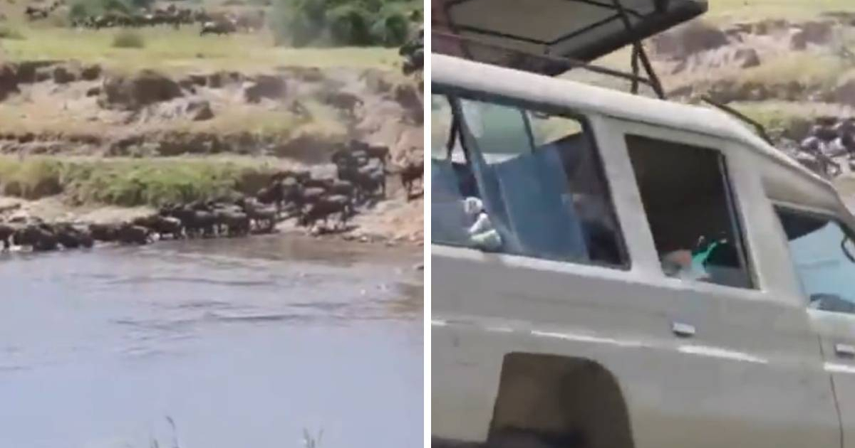 VIDEO Džip s turistima sletio u rijeku punu krokodila u Tanzaniji