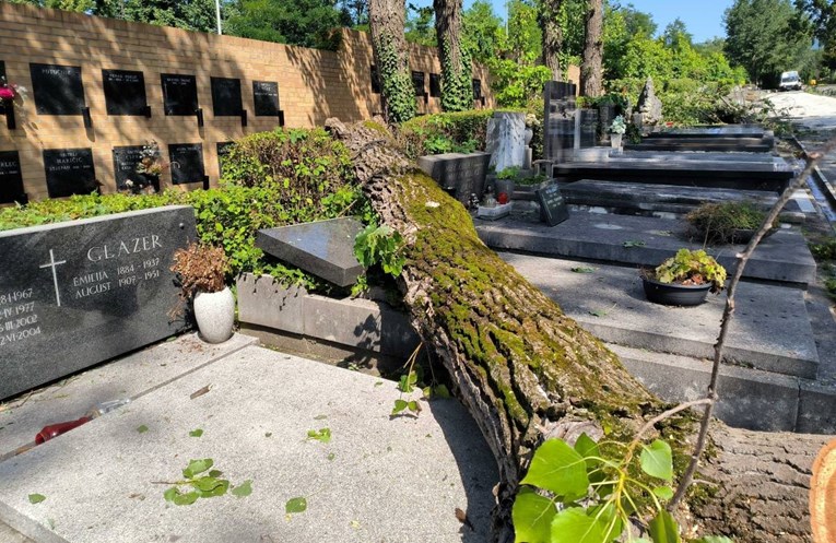 FOTO Ovako danas izgleda Mirogoj. Stabla popadala po grobovima