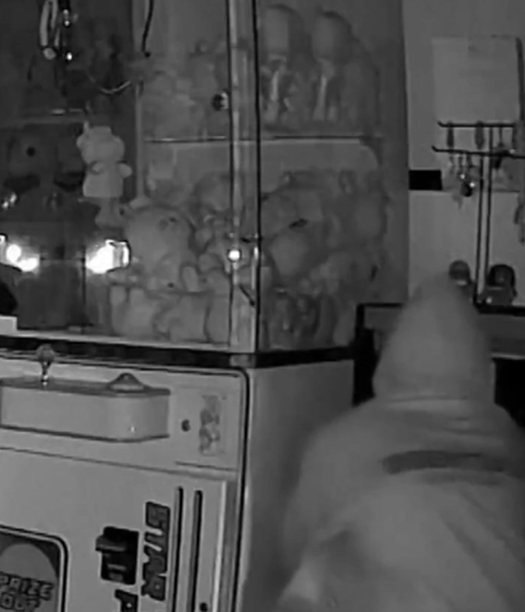 U Los Angelesu ukradene lutke Labubu vrijedne tisuće eura