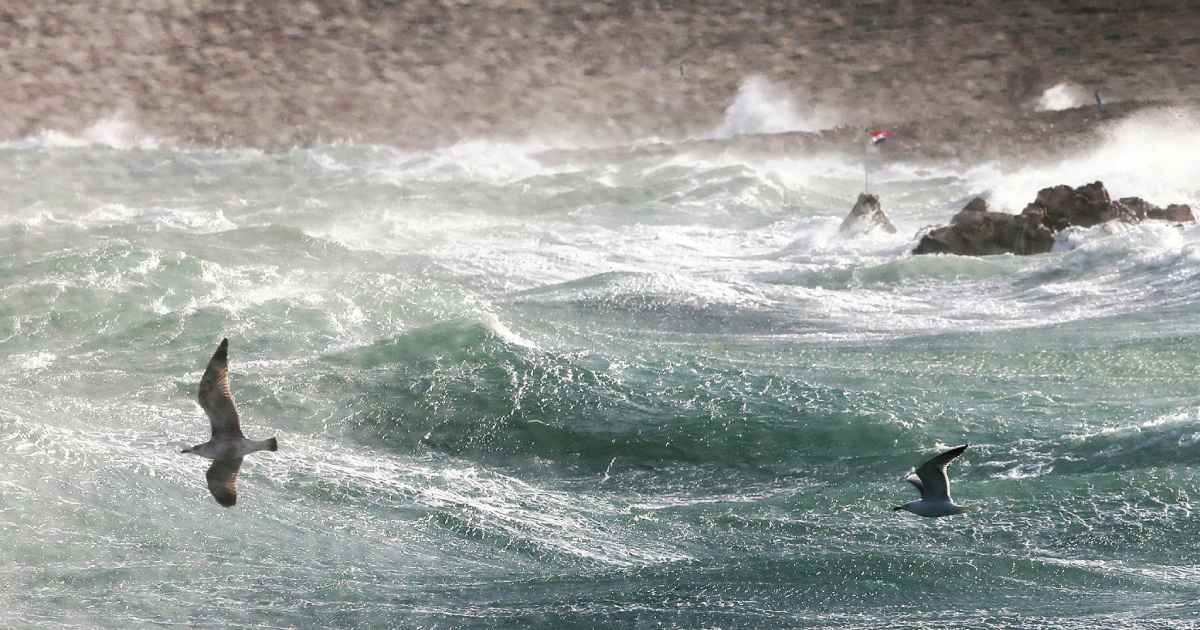 Orkanska bura u Velebitskom kanalu