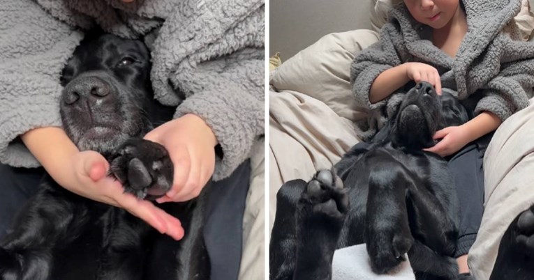 Dječak svom psu priredio spa dan, preslatki su