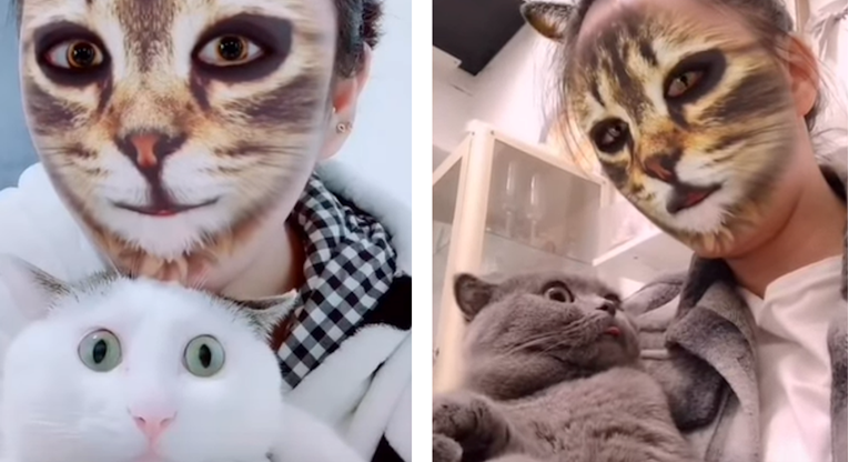 Mačke šokirali filteri na licima vlasnica, njihove reakcije su neprocjenjive