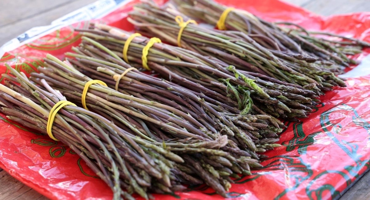 Na šibensku tržnicu stigle prve ovogodišnje šparoge, pogledajte koliko koštaju