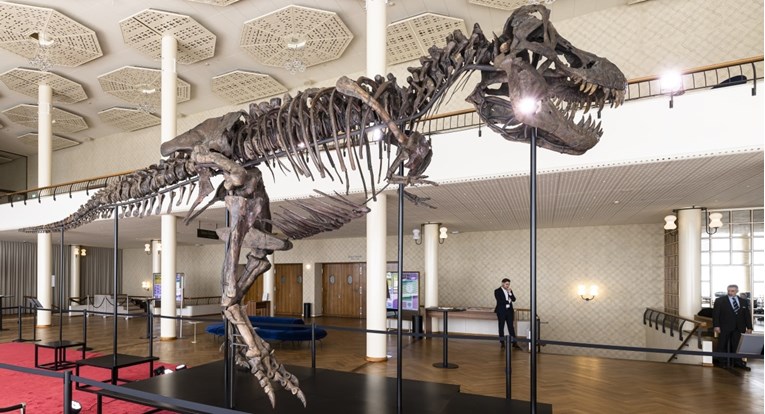 FOTO Ovo je kostur T-Rexa koji je jučer u Švicarskoj prodan za 5.6 milijuna eura