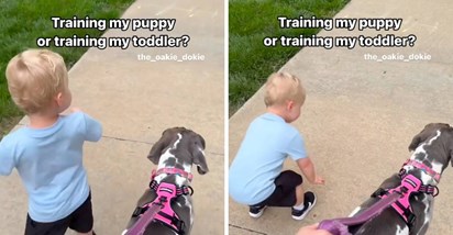 VIDEO Žena psu u šetnji zadala dvije naredbe, pogledajte što je učinio njezin sin