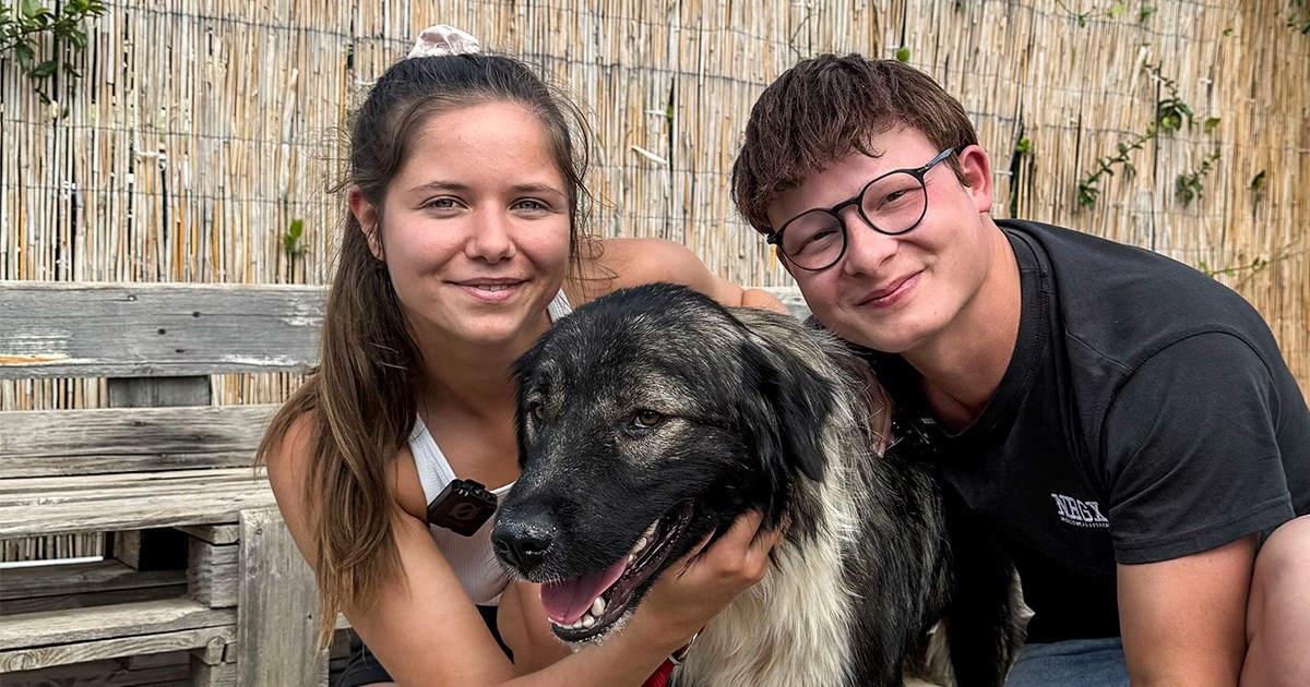 Francuzi pronašli napuštenog psa u Dalmaciji: "Nismo imali srca ostaviti ga"