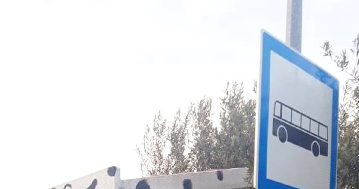 "Najdalmatinskija stanica za bus" hit je na Fejsu, ljudi oduševljeni: Ovo je vrh