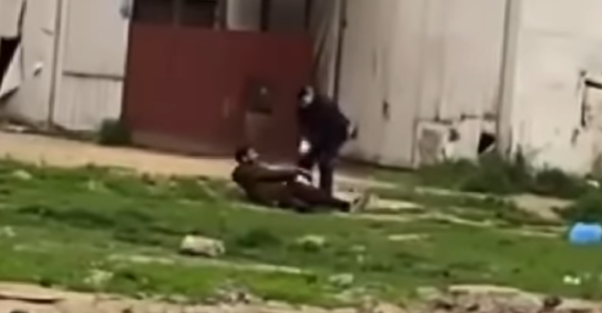 VIDEO Šire se snimke iz Srbije, policija mlati migrante