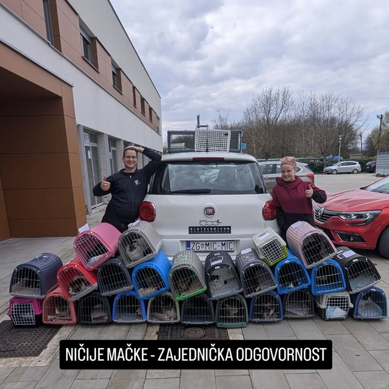 Uspješna akcija: U Zagrebu kastrirane 72 ulične mačke u samo pet dana